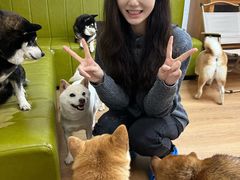 -是阿柴呀！柴犬咖啡·爱喵喵猫咖