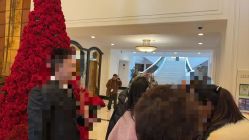 -锦江饭店·锦江小礼堂·宴会厅