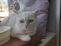 -芭比堂动物医院·CT·微创中心(新顺分院)