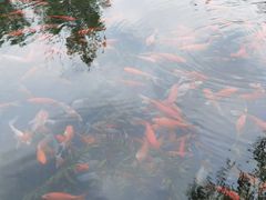 -水磨沟公园