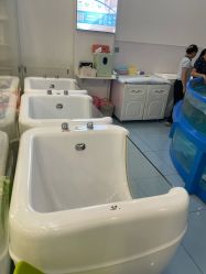 -雏芽婴幼儿游泳·小美医生小儿推拿(西村店)