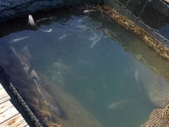 -海上驿站渔家菜馆