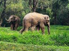 -北京野生动物园