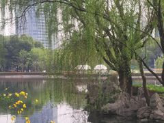 -陆家嘴中心绿地