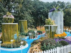 -上海共青森林公园