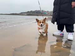 -青岛第三海水浴场