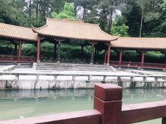 -铁山坪森林公园