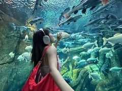 -波塞冬旅游度假区