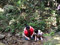 -七仙岭温泉国家森林公园