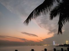 -深圳湾公园(南山区)