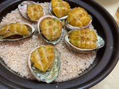 -老乡村美食农庄