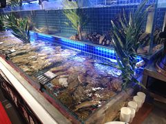 -必点海鲜·鲅鱼水饺(鞍山西道店)