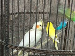 -老味道民宿(栈桥店)