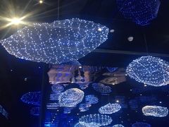 -盒马X会员店(上海森兰商都店)