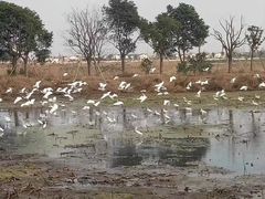 -上膳源有机蔬菜(三泉路店)