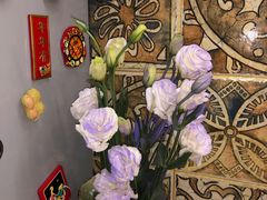 -宝鸡东道花鸟鱼虫市场(吉利花园商场店)