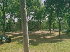 -坝河休闲公园