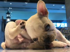 -乐宠宠物店(世纪金源店)