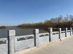 -塘沽森林公园