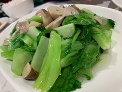 草菇盖菜-马凯餐厅(长椿街店)