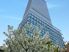 -上海静安香格里拉大酒店