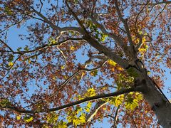 -浦口码头(轮渡站)