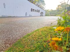 -福田红树林生态公园