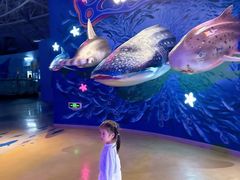 -烟台海昌鲸鲨海洋公园