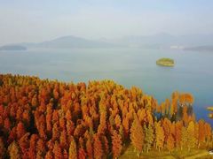 -四明湖