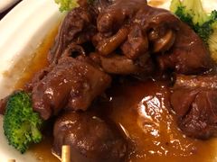 可乐美容蹄-大眼锅贴水饺(河东店)