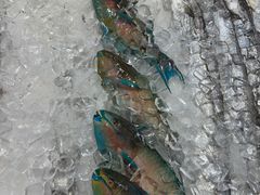 -AEON永旺(东方宝泰店)