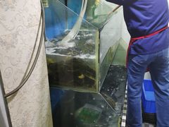 -褒河栈道渔庄(建工路总店)