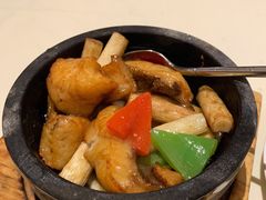 石锅烧海斑腩-利苑酒家(金宝店)