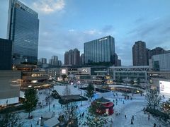 -花潮料理艺食馆(成都万象城店)