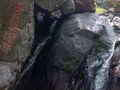 -云岫谷游猎自然风景区