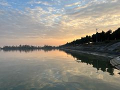 -泗洪洪泽湖湿地景区