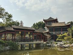 -顺峰山公园