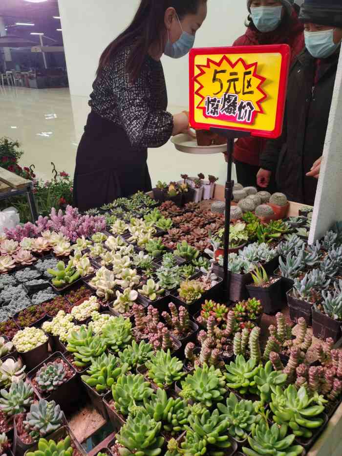 蟹岛国际花卉-"蟹岛里新开业的花卉市场,里面很宽敞,环境.