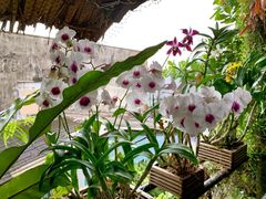 -自然餐厅(Phuket)