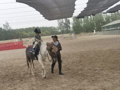 -北京群众马术培训基地