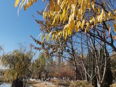 -前关湿地公园