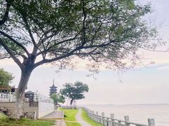 -观潮胜地公园