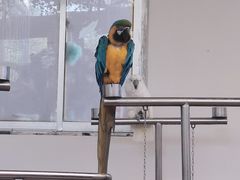 -南戴河国际娱乐中心