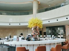 -Plush大堂酒廊(北京金融街威斯汀大酒店)