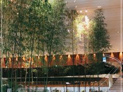 -北京望京凯悦酒店The Lounge大堂酒廊