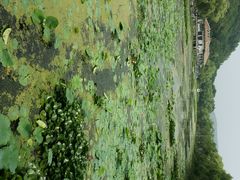 android_upload_pic-北山公园