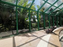 -深圳凯宾斯基酒店