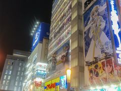 -秋叶原电器街
