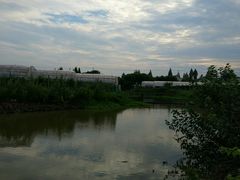 -马陆小张葡萄园农家乐