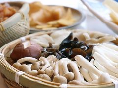 -菌子鲜汤野生菌锅